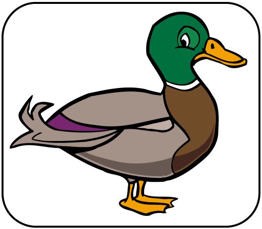 ENTE DIE